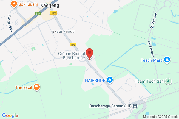 Creche Bei De Clownen Sarl