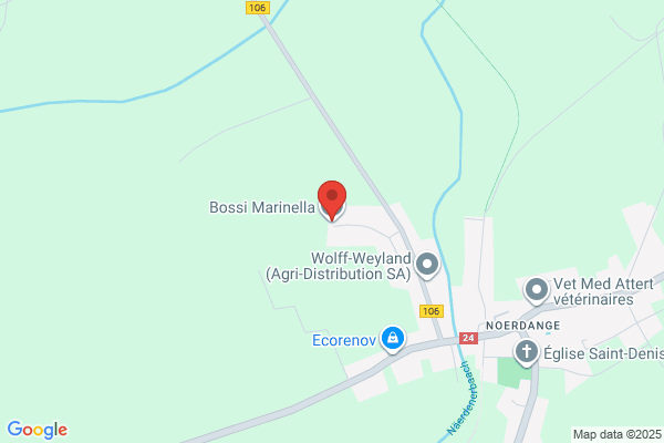 Bossi Marinella