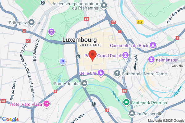 Institut D'etudes Européennes Et Internationales Du Luxembourg - I.E.E.I.