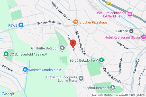 Theis & Flesch Gmbh