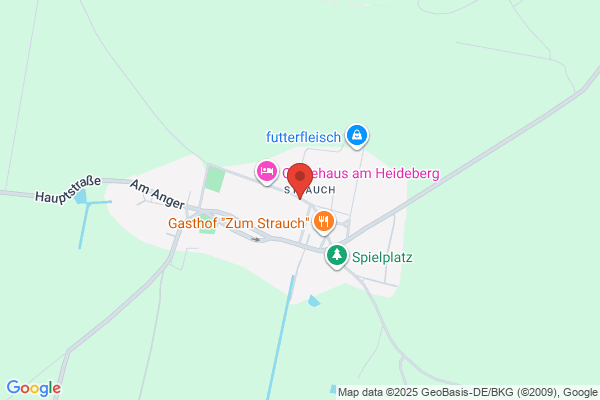 Strauch