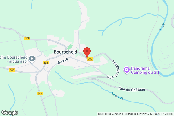 Association Des Amis Du Chateau De Bourscheid - reception