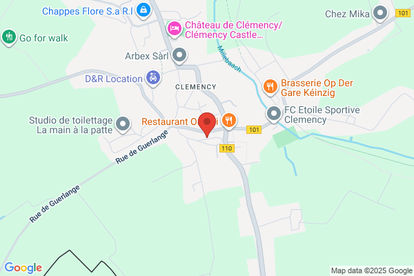 Medical Research Consultant Luxembourg Sa