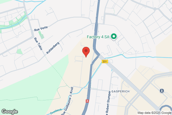 Degroof Conseil (Luxembourg) Sa