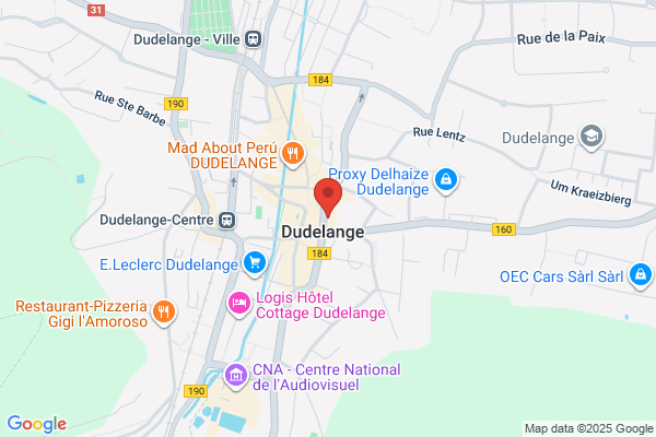 Syndicat De La Ville De Dudelange Asbl
