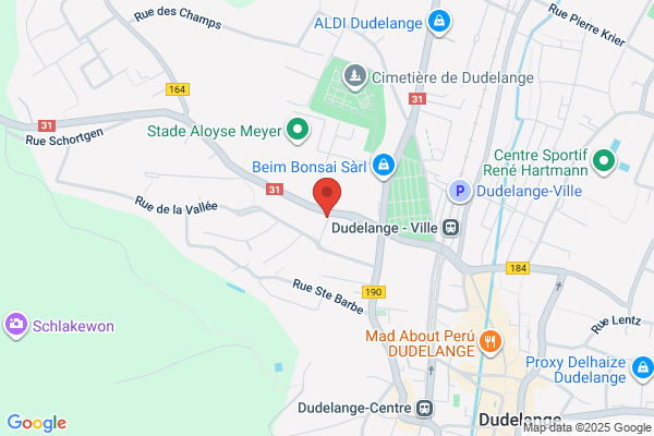 Eglise Evangelique Libre: Evangelesch Fraikierch Asbl