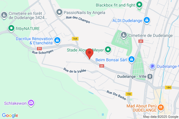 Hostellerie-Restaurant-Taverne La Cheminee