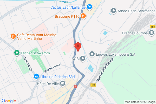 Graf Maurice (Dr)