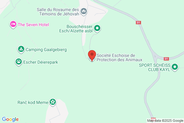 Asile Pour Animaux Escher Deireschutz