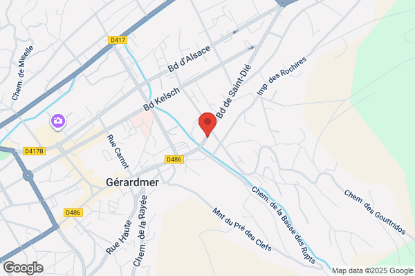 Didierlaurent & Fils Sa