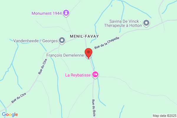 Raymond Demelenne
