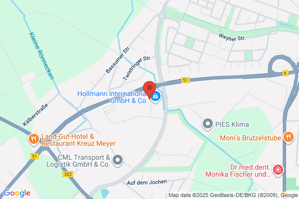 Hollmann