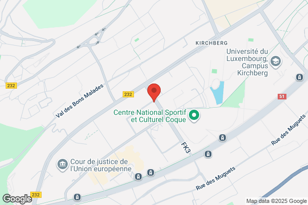Conseil Economique Et Social