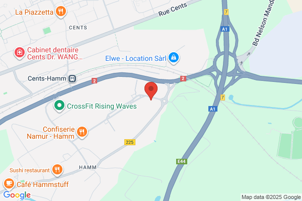 Douanes Et Accises (Inspection Des Services Motorisés)