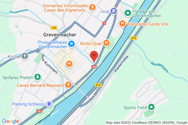 Restaurant-Brasserie Des Bateliers Sarl