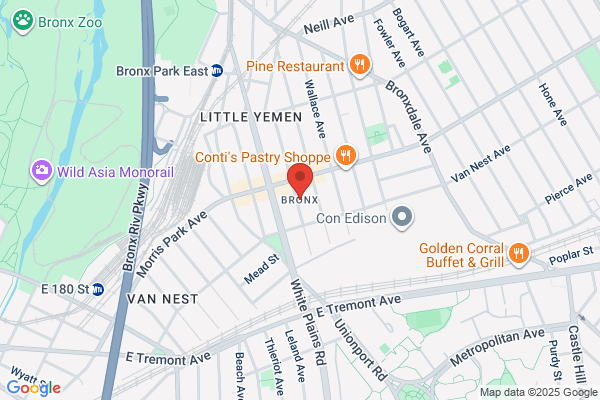 Bronx