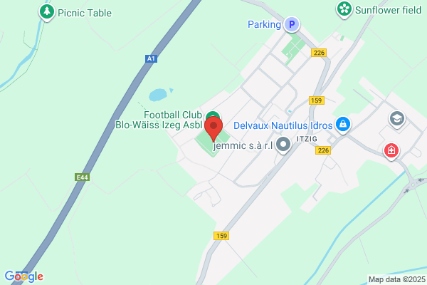 Stade Albert Kongs