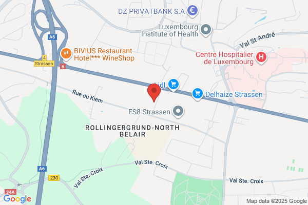 Fmv Consulting Sa