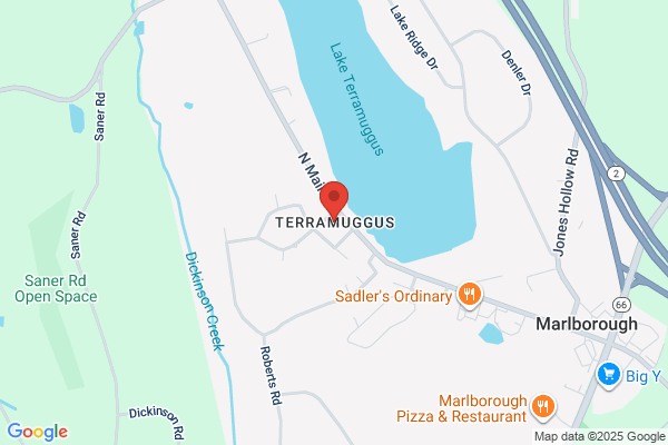 Terramagus