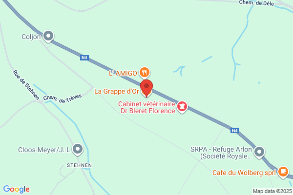 Auberge De La Grappe D'or