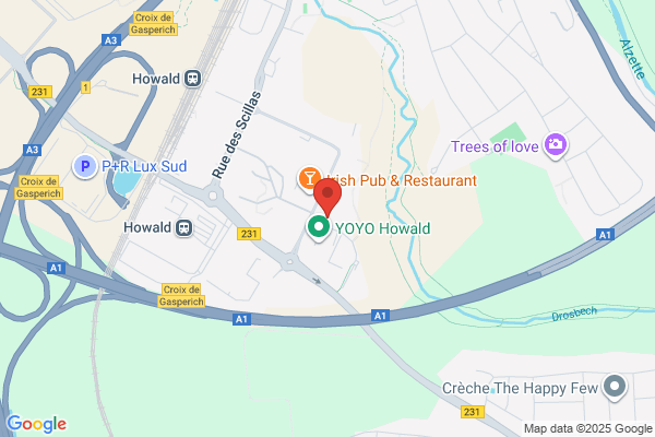 C. Automobiles S.A.
