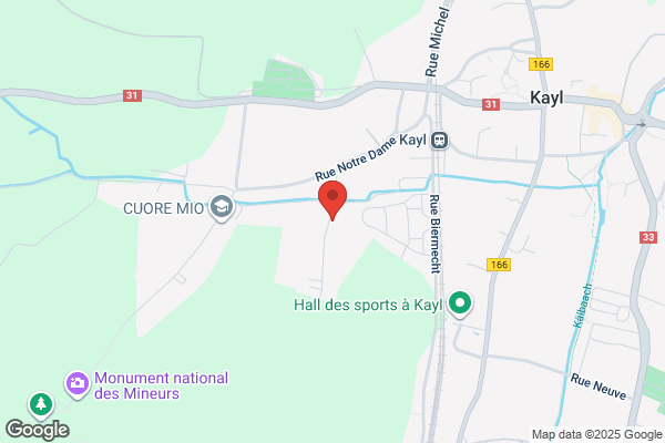 Herzig International Sàrl
