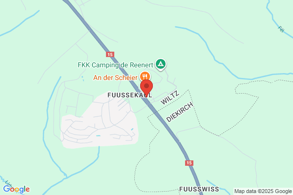 Friture Foxburger