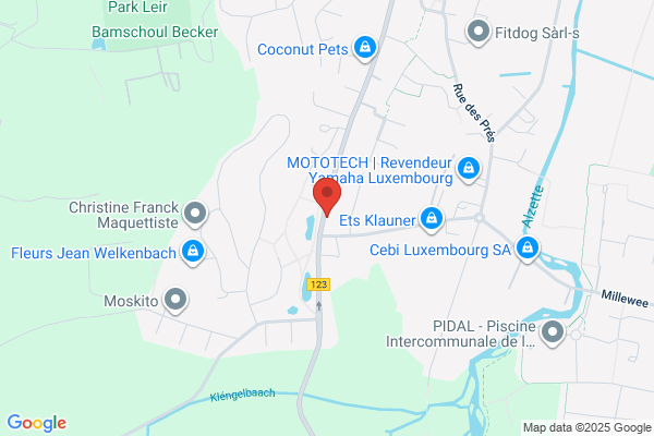 Kung Fu Club Luxembourg