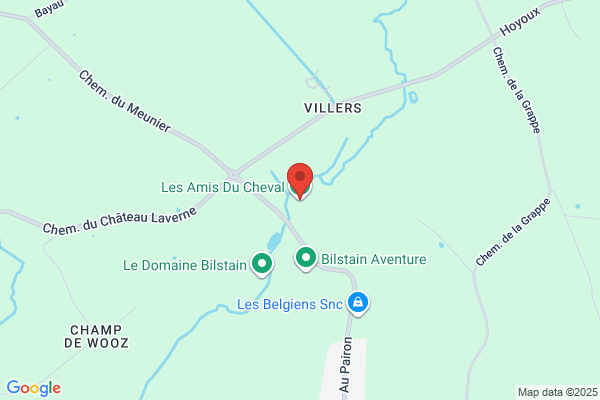 Les Amis Du Cheval