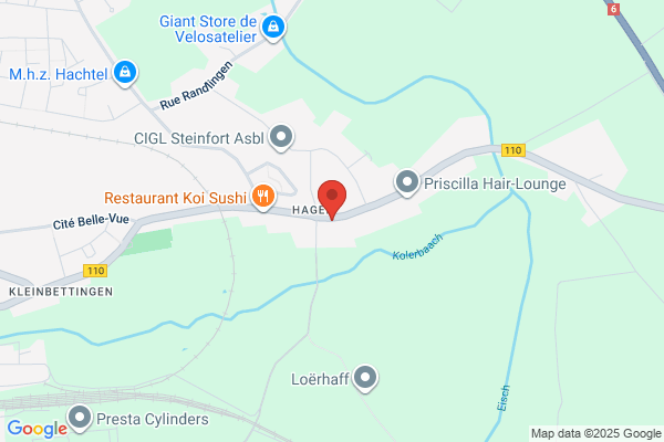 Wanderfalken Steinfort
