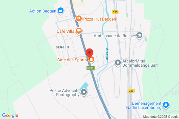Pic' Art Sa