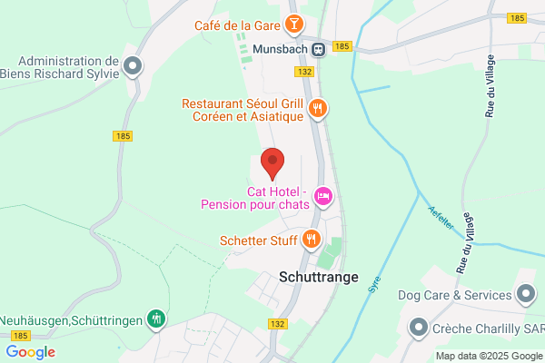 Petry-Scholtes Rudi