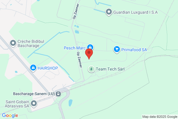 Gisèle Lefebvre