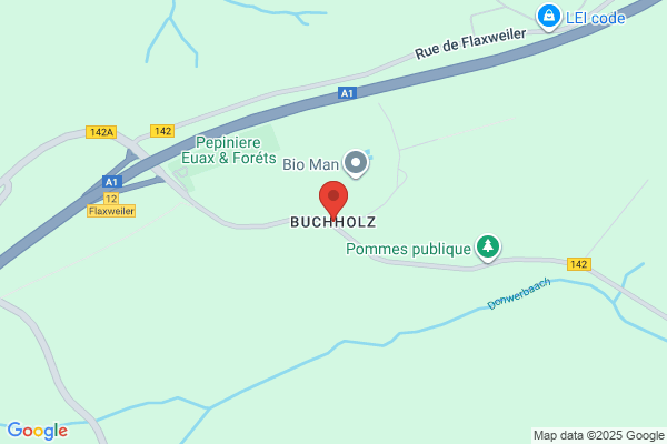 Buchholz Gmbh & Co Kg