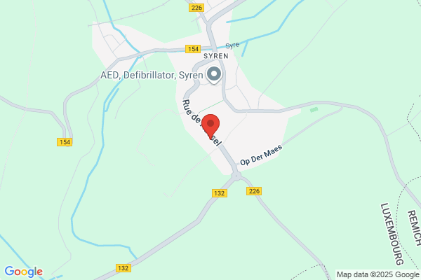 Le Ramoneur
