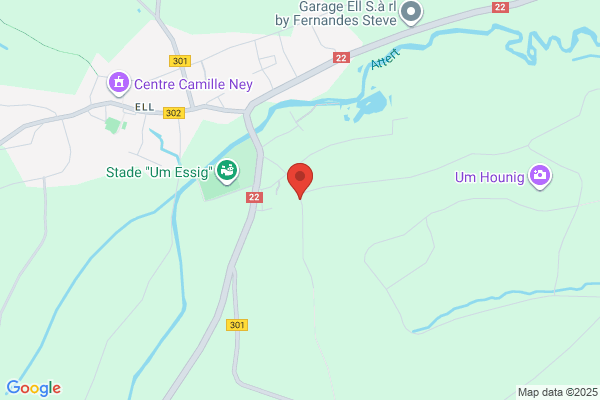 Brouart De Wilde Madeleine