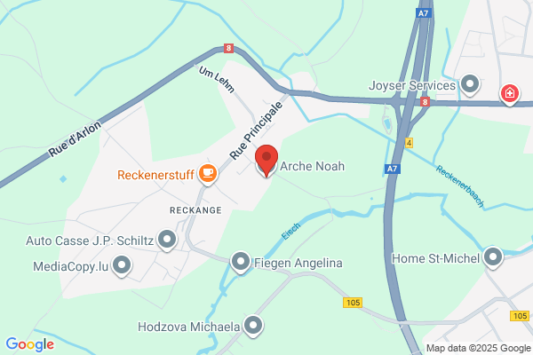 Arche Noe