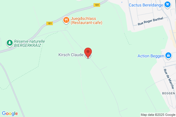 Kirsch Klaus