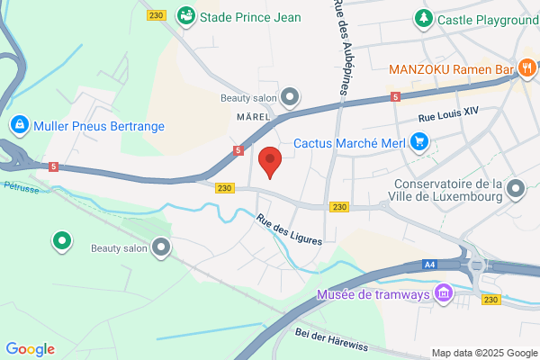 École Primaire De Luxembourg Merl