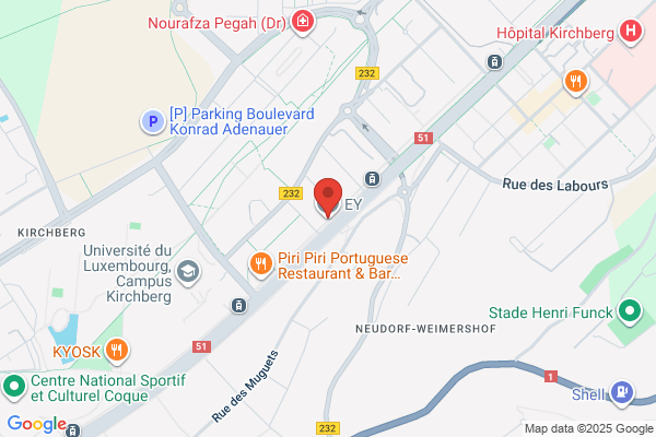 Cap Gemini Ernst & Young Luxembourg Sa