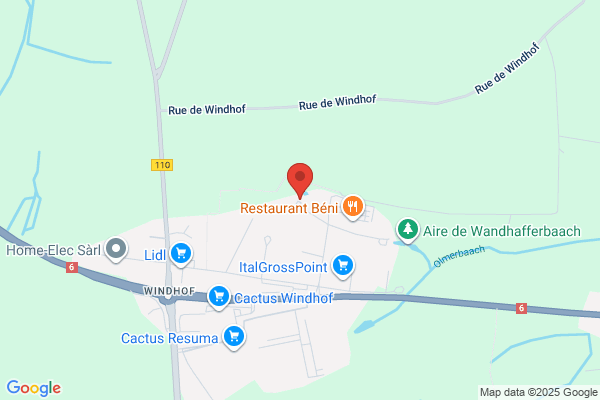 O.D.S.I. Luxembourg Sa
