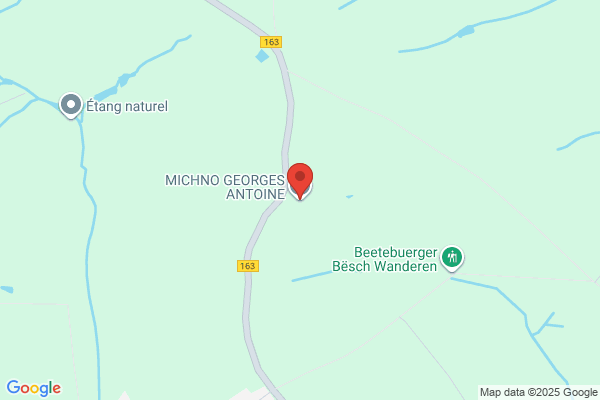 Michno Georges