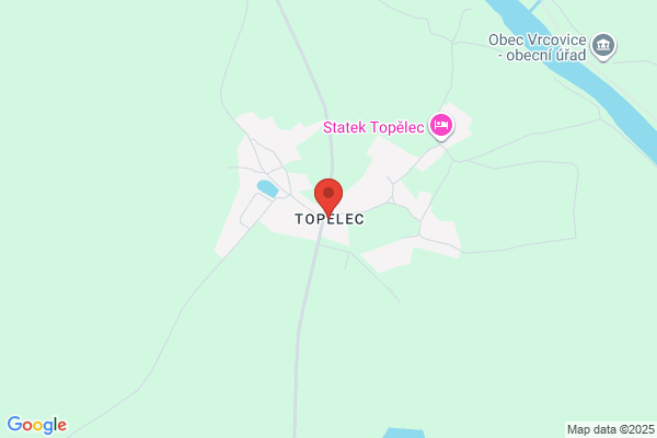 Top-Elec