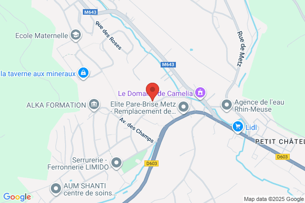 Institut De Formation Sociale I.F.S.