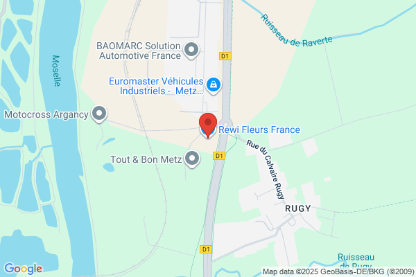 Rewi Fleurs France Sàrl