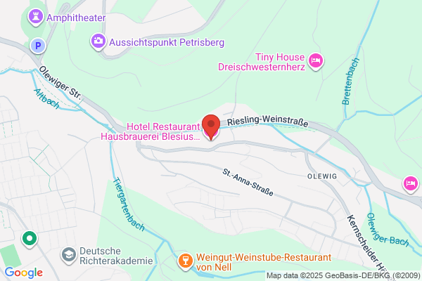 Hotel Blesius Garten