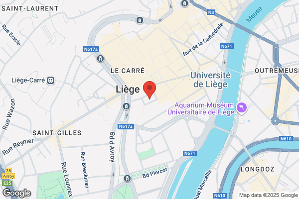 Le Village Gaullois