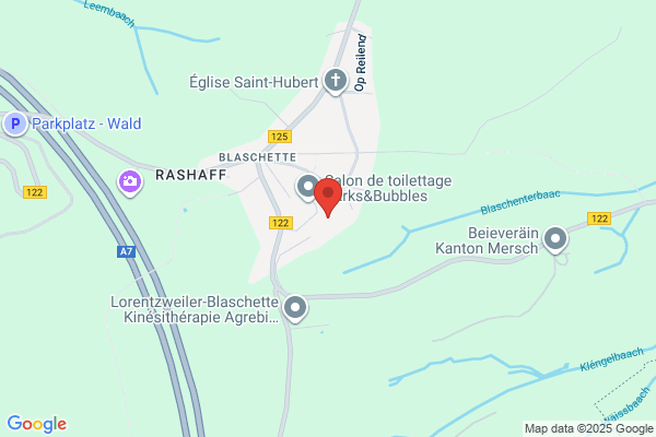 Immobilière Maas Sa