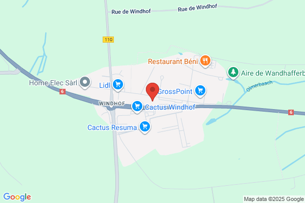 Iir Sa (Consultance Industrielle)