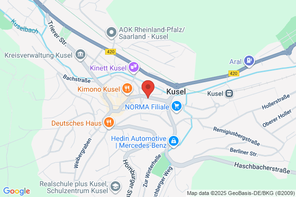 Rheinpfalz Gmbh & Co Kg
